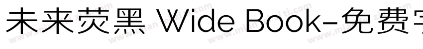 未来荧黑 Wide Book字体转换